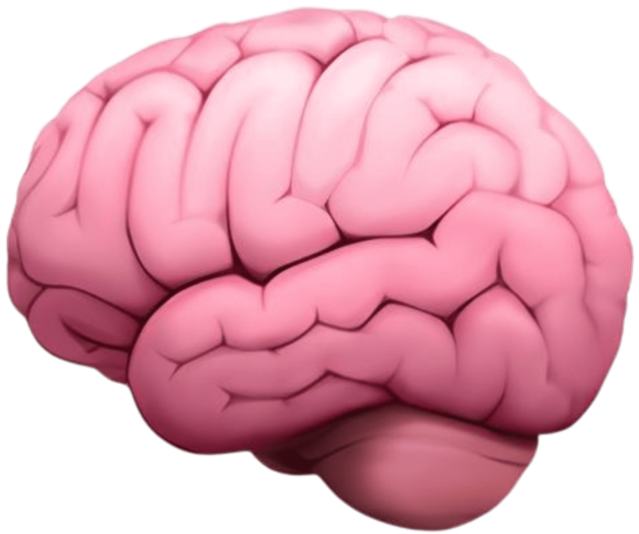 Você envia sua dúvida 