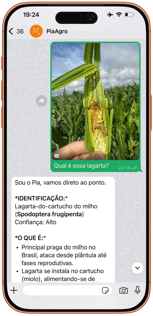 Exemplo de Identificação por Imagem